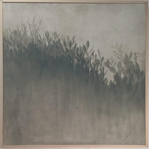 Solace of leaves
