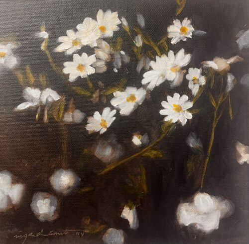 Daisy Field