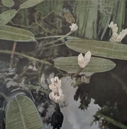 Suspended calm