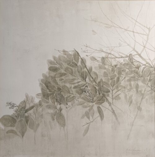 Whispers through branches