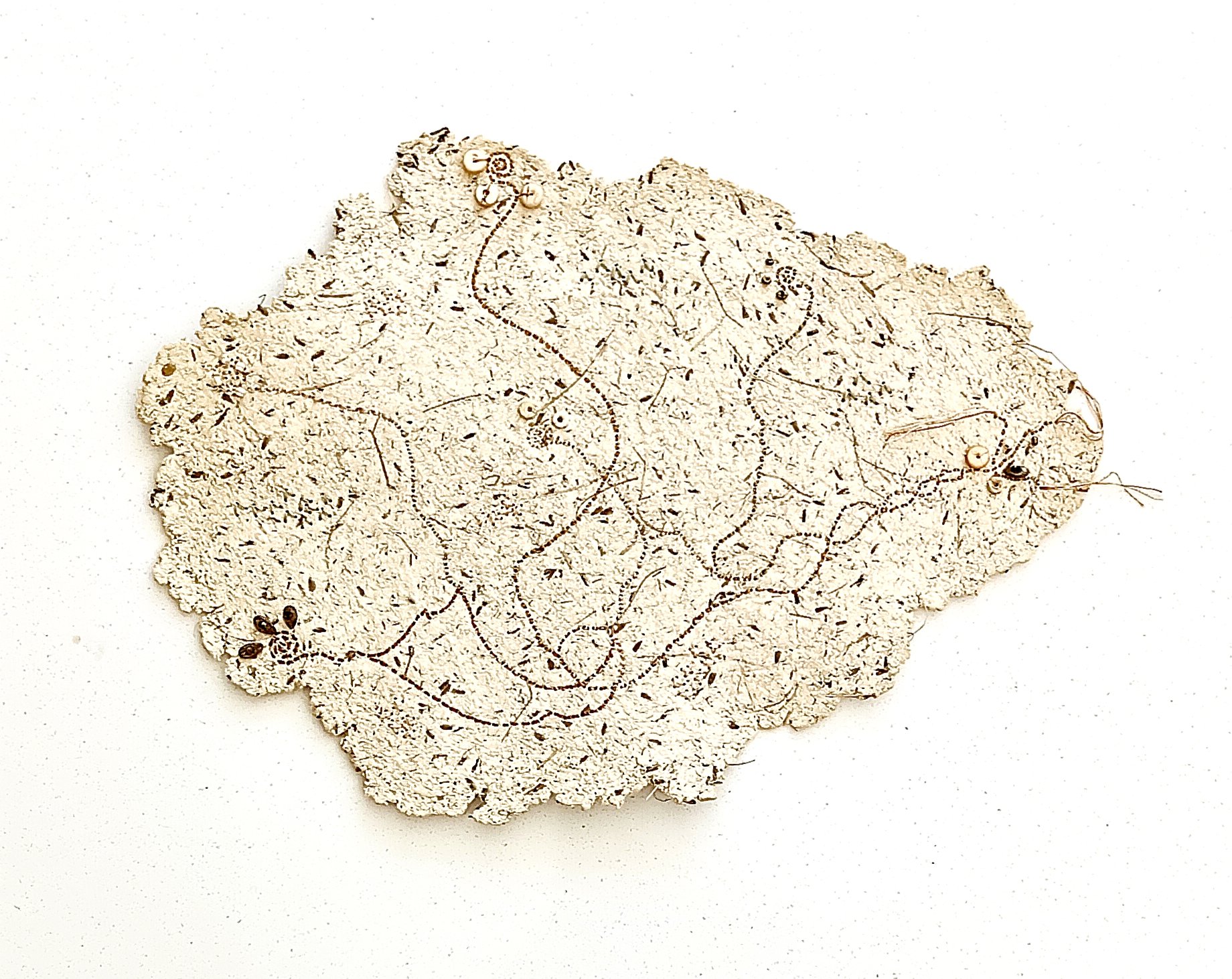 Cartography of the Soul: An Inherited Landscape