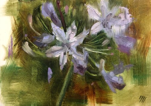 Study of Agapanthus