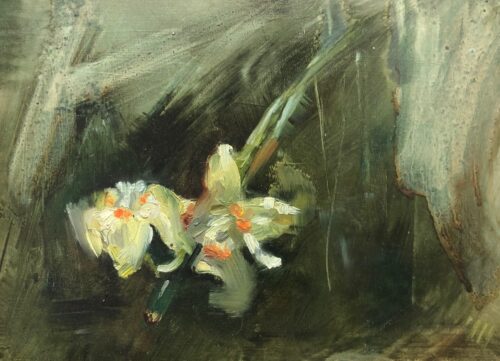 Study of Irises