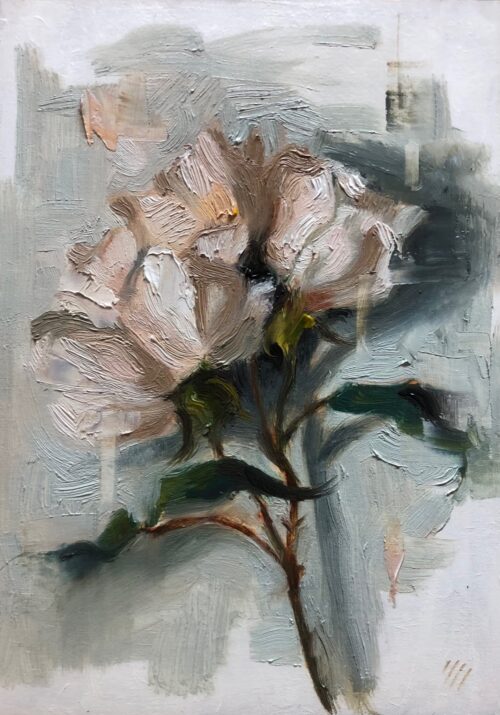 Study of Roses
