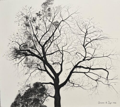 Withering winter