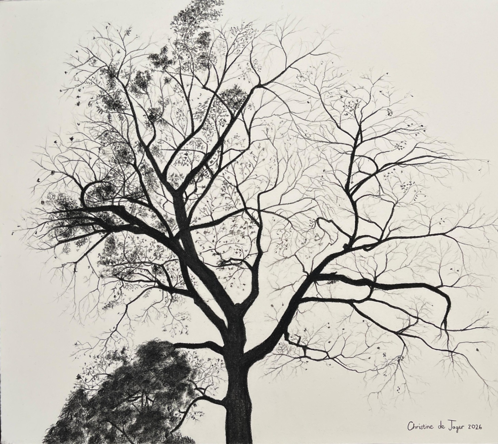 Withering winter