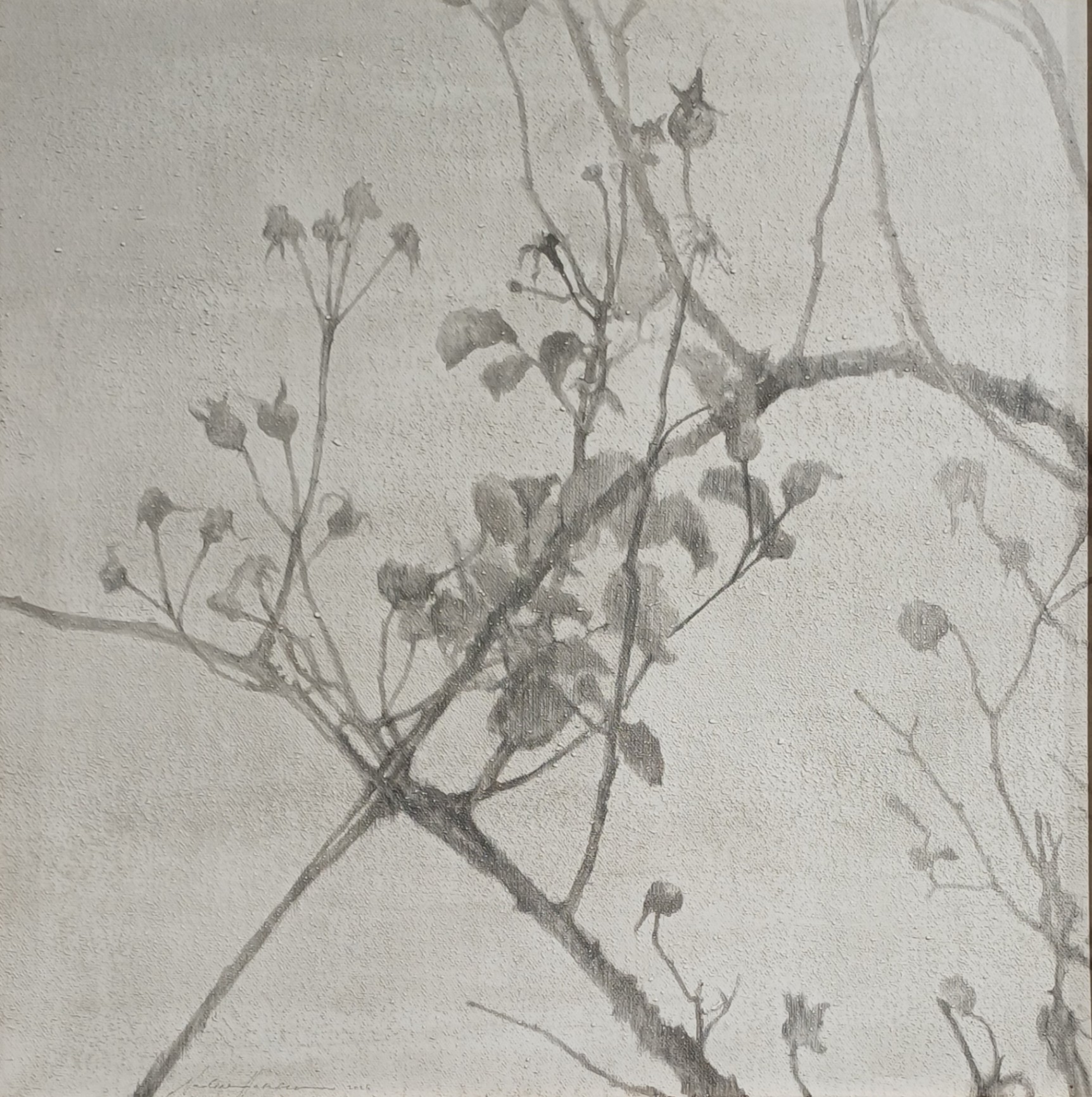 A tangle of branches