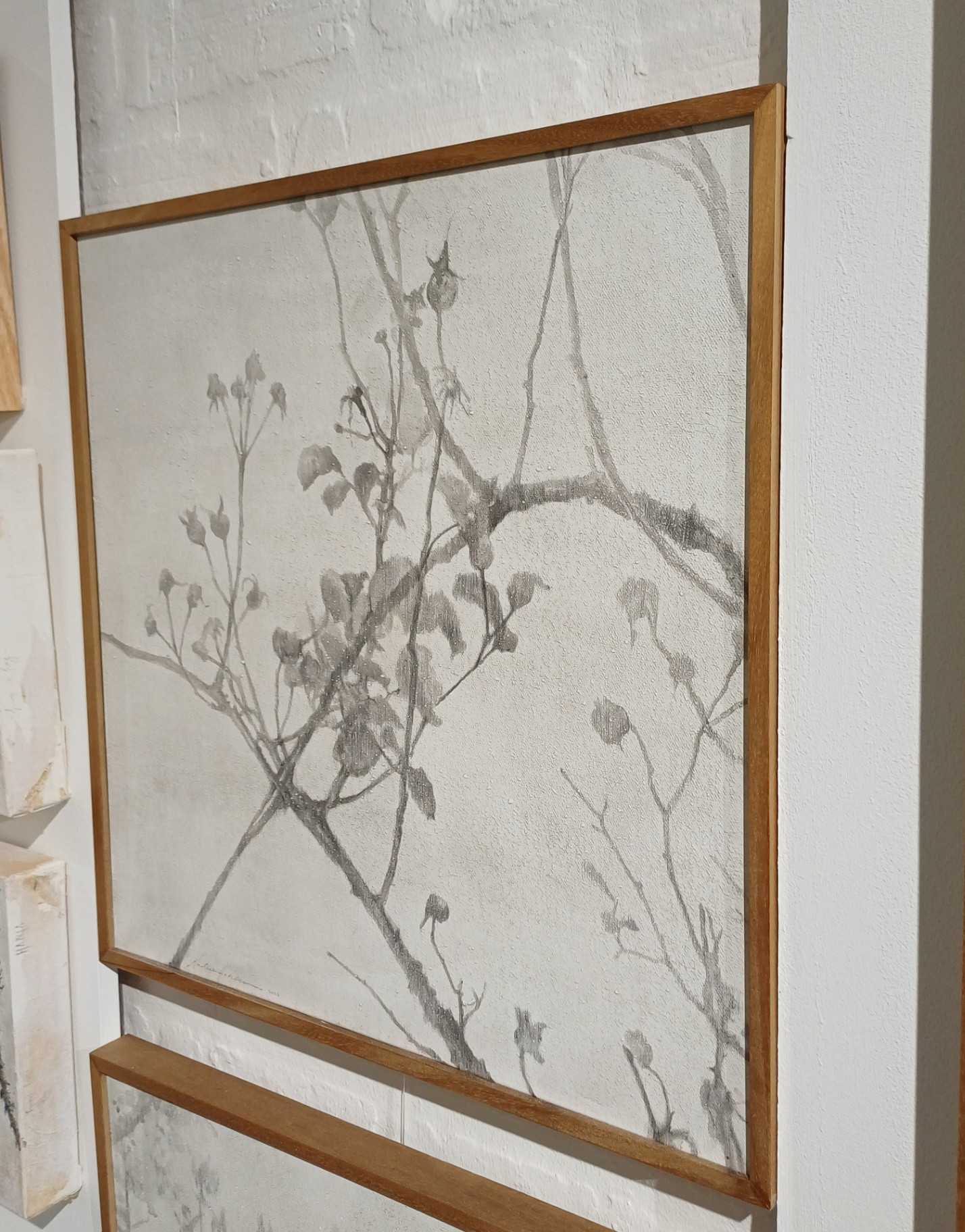 A tangle of branches - Image 2