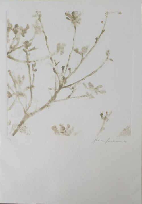 Botanical echoes 1