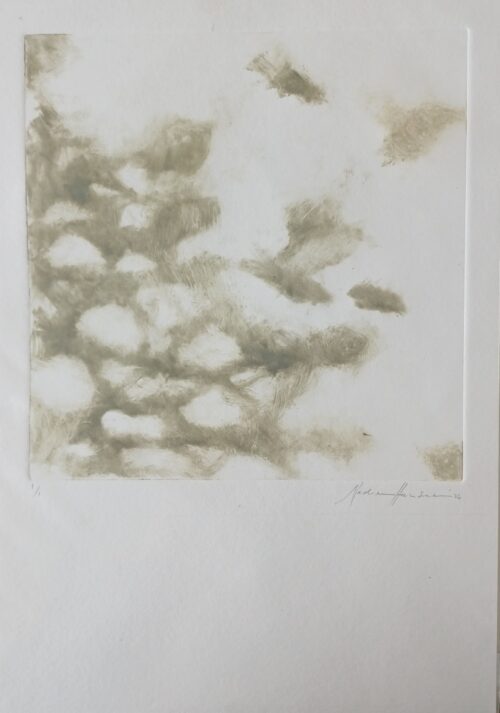 Botanical echoes 2