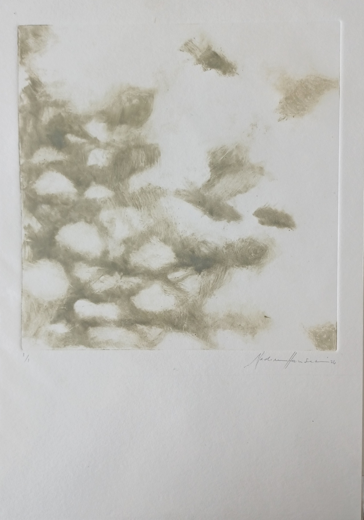 Botanical echoes 2