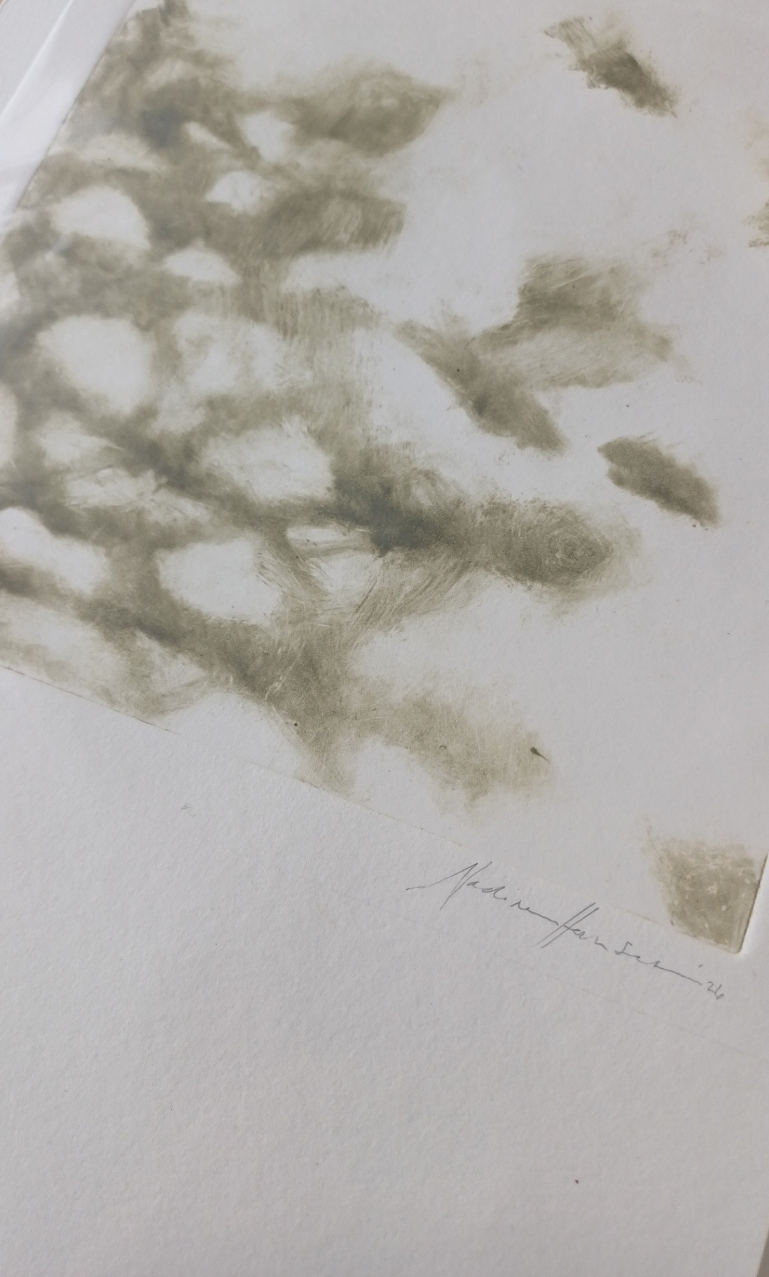 Botanical echoes 2 - Image 2