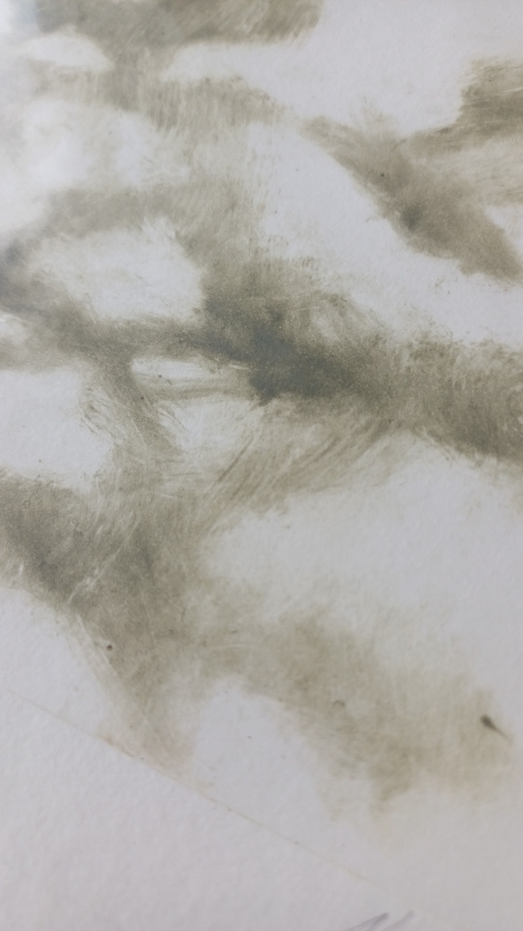 Botanical echoes 2 - Image 3