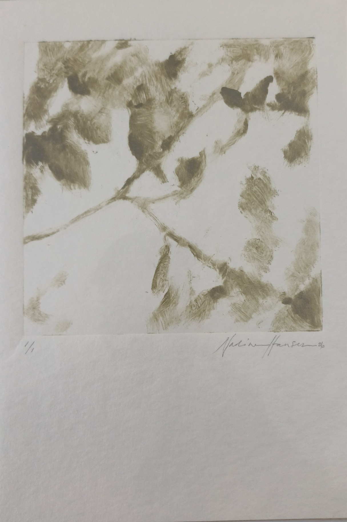 Botanical echoes 3