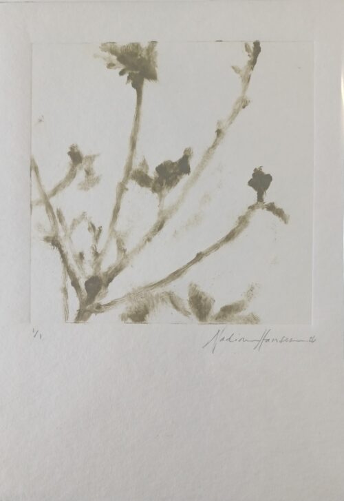 Botanical Echoes 5