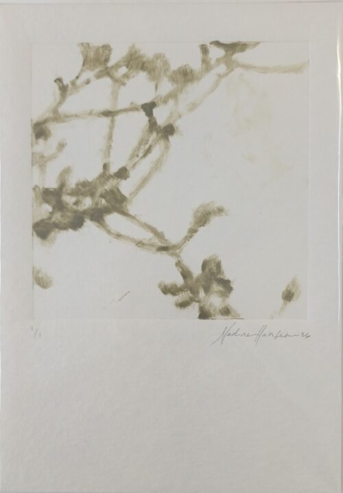 Botanical echoes 7