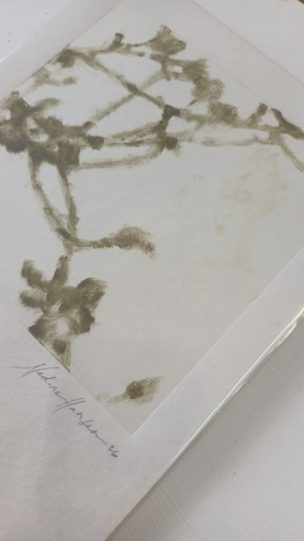 Botanical echoes 7 - Image 2