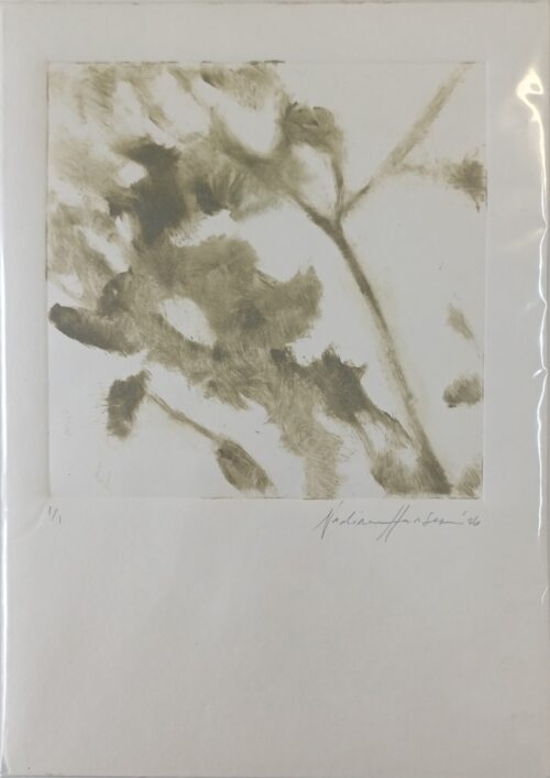 Botanical echoes 8
