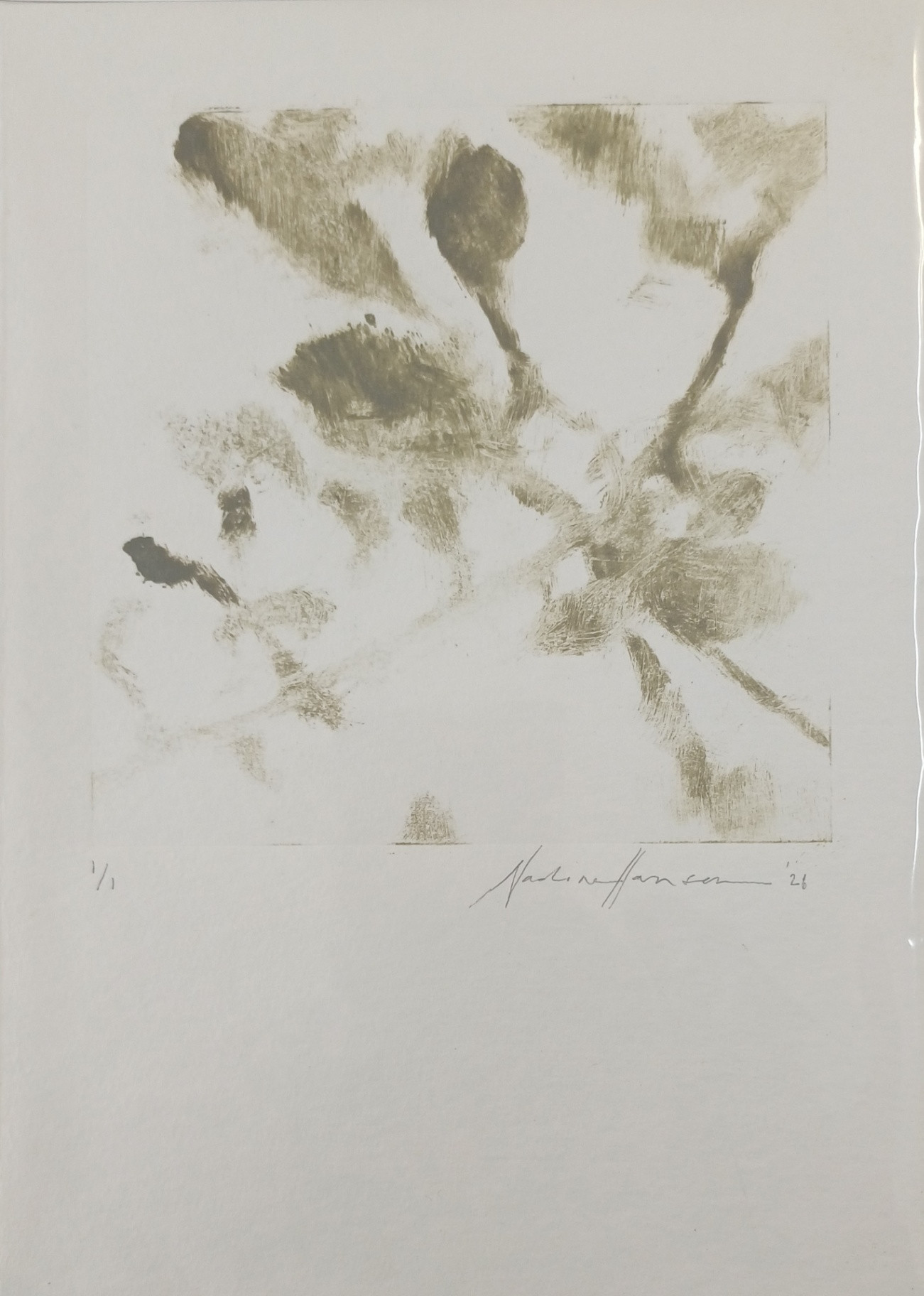 Botanical echoes 9
