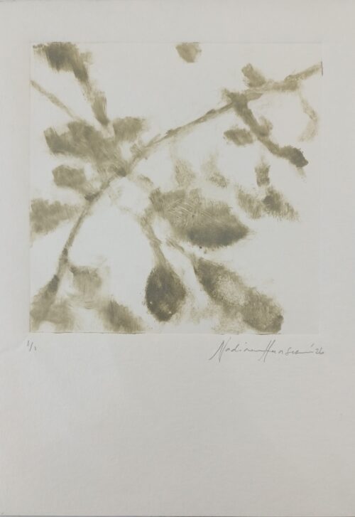Botanical Ehoes 4