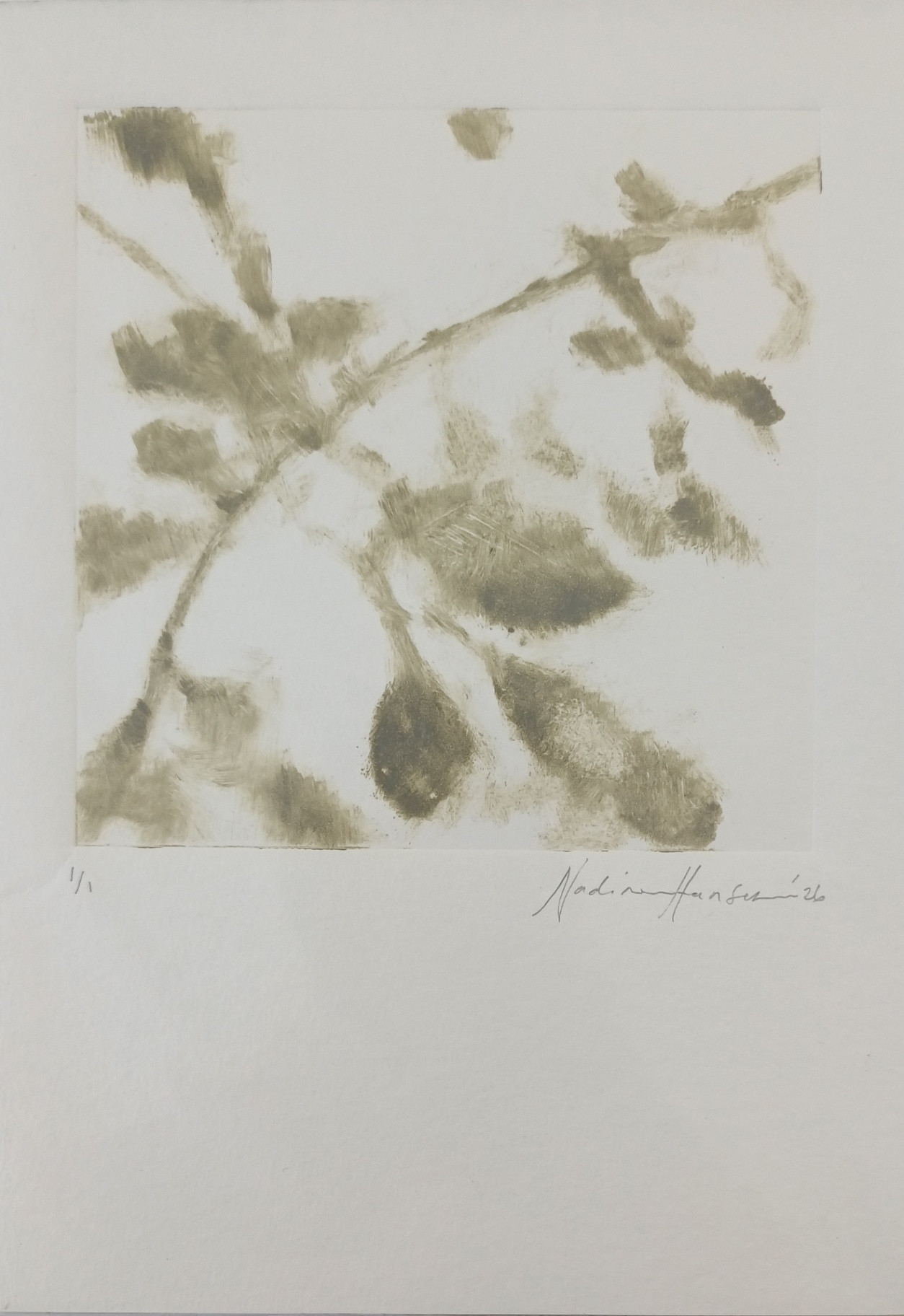 Botanical Ehoes 4