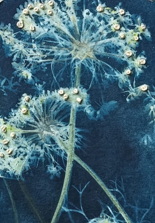 Constellations of the Fields