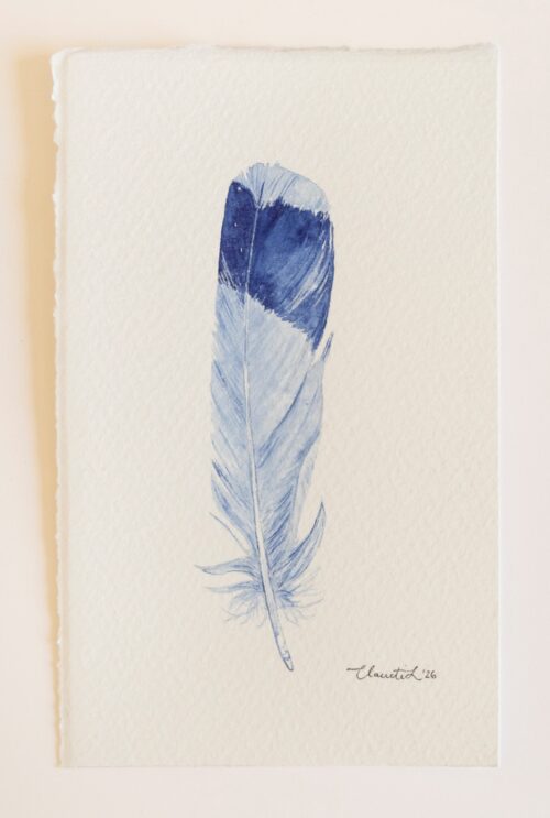 Delft Feather