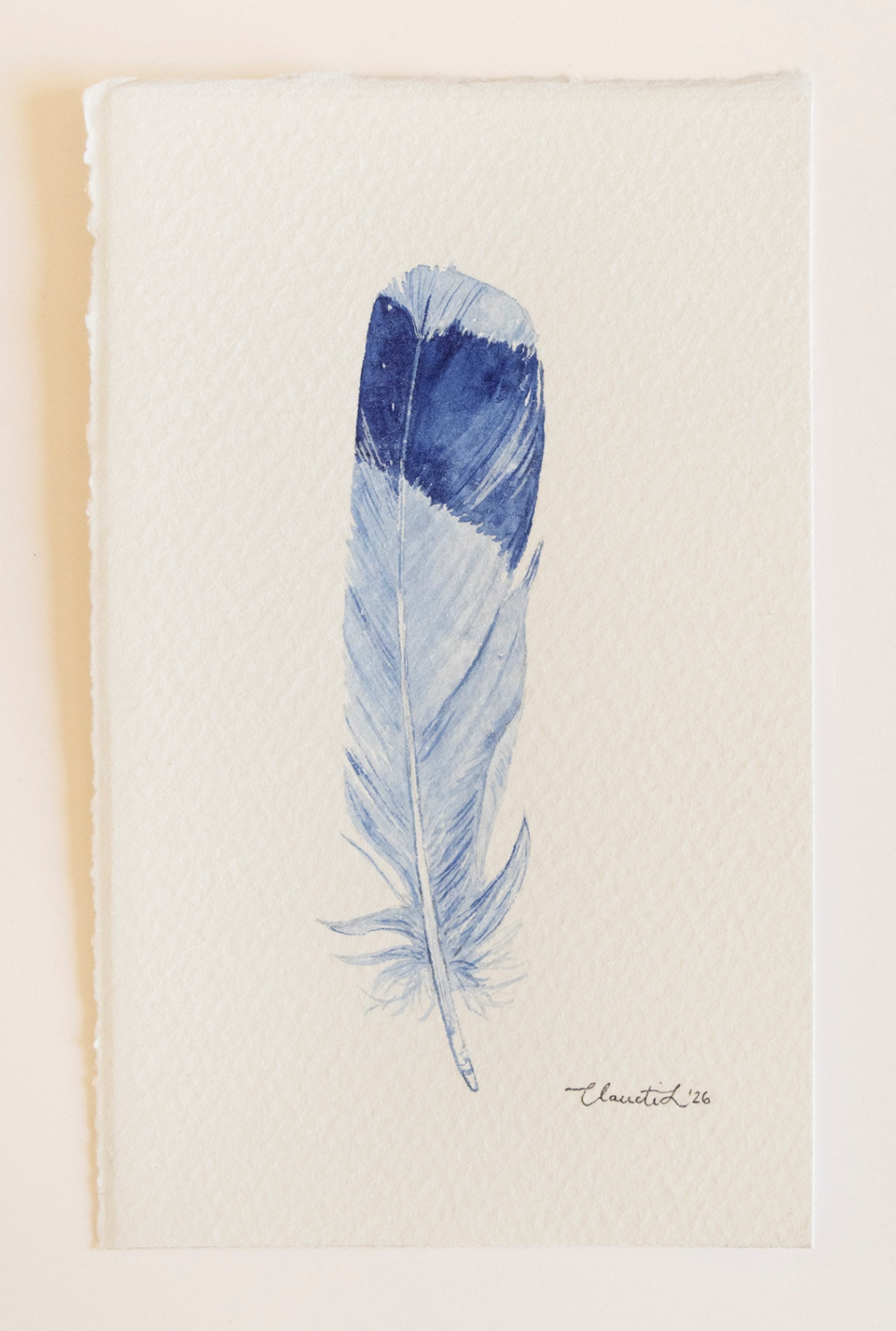 Delft Feather