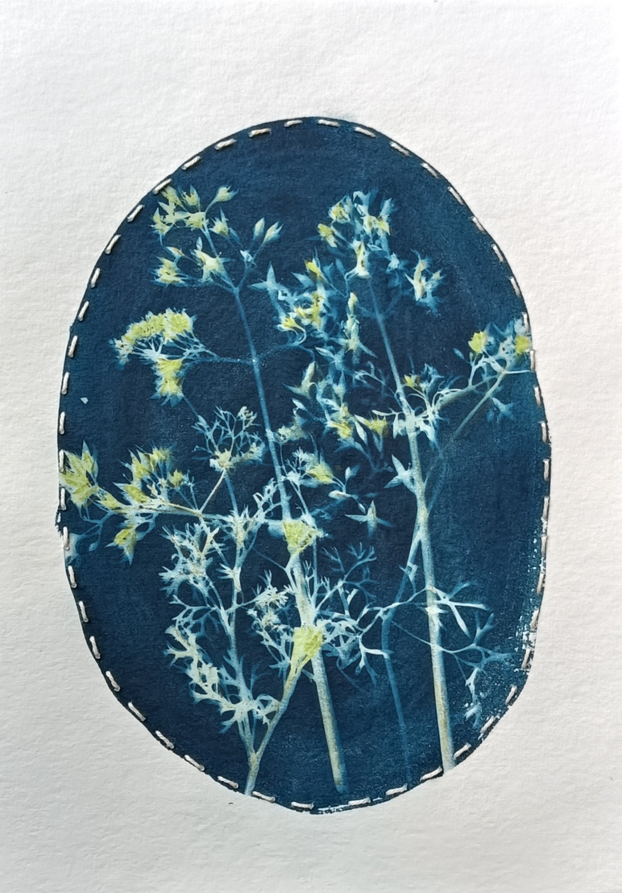 Delicate Defiance - Image 3