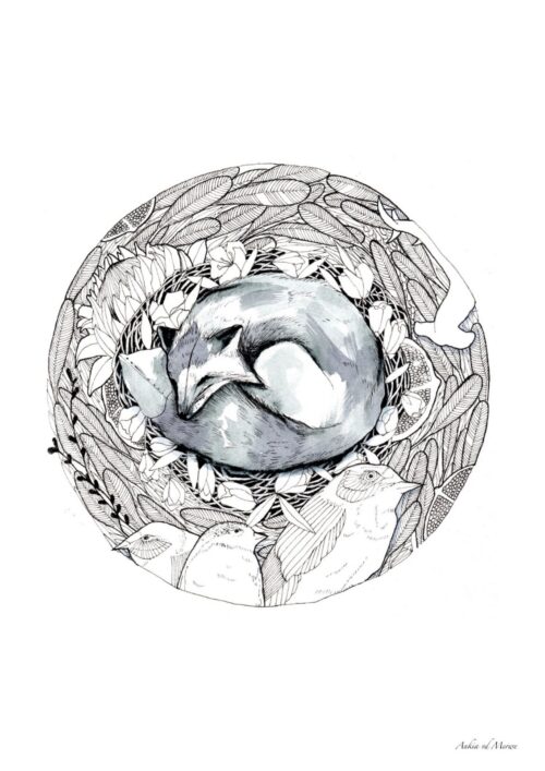 Fox and birds