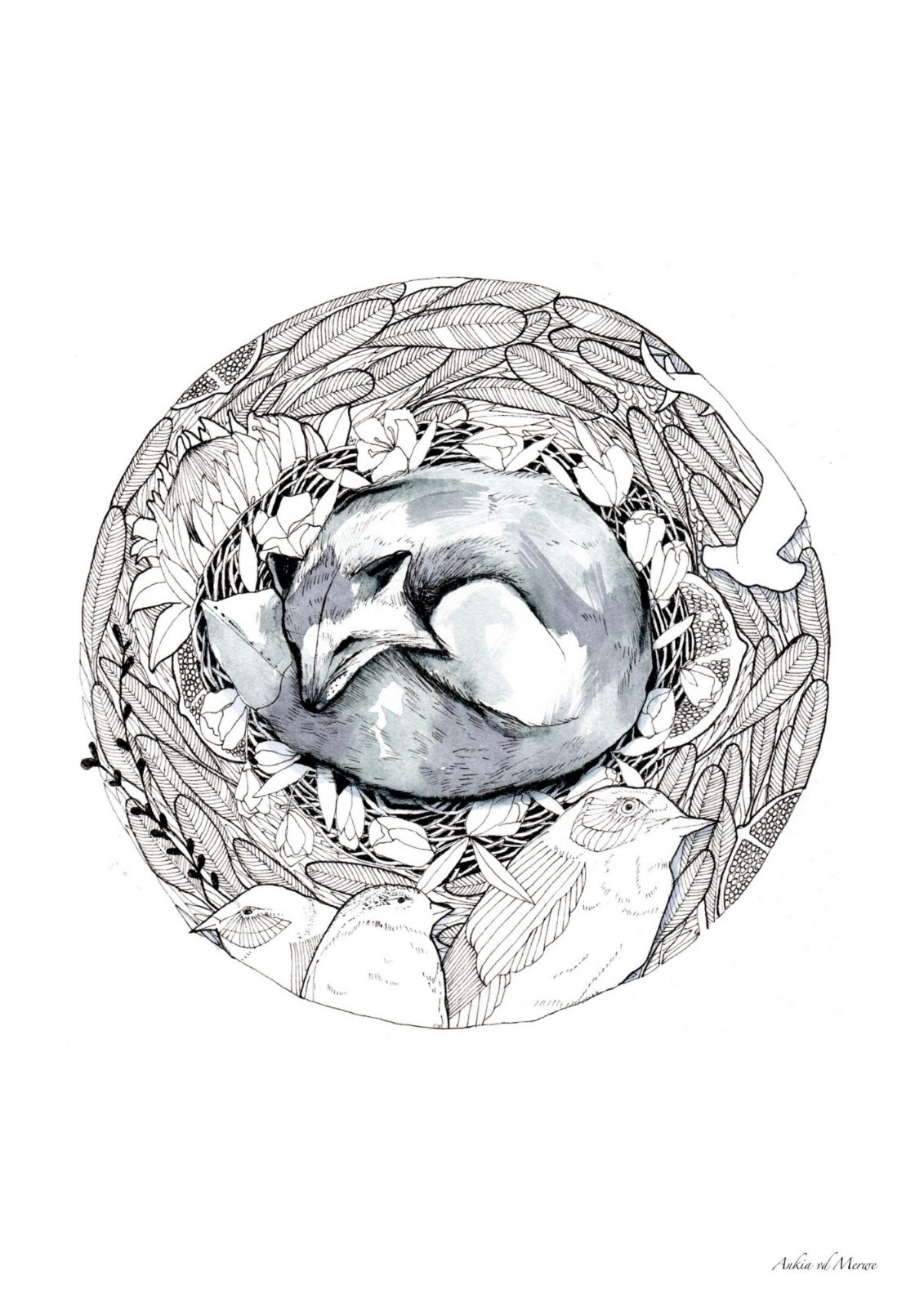 Fox and birds