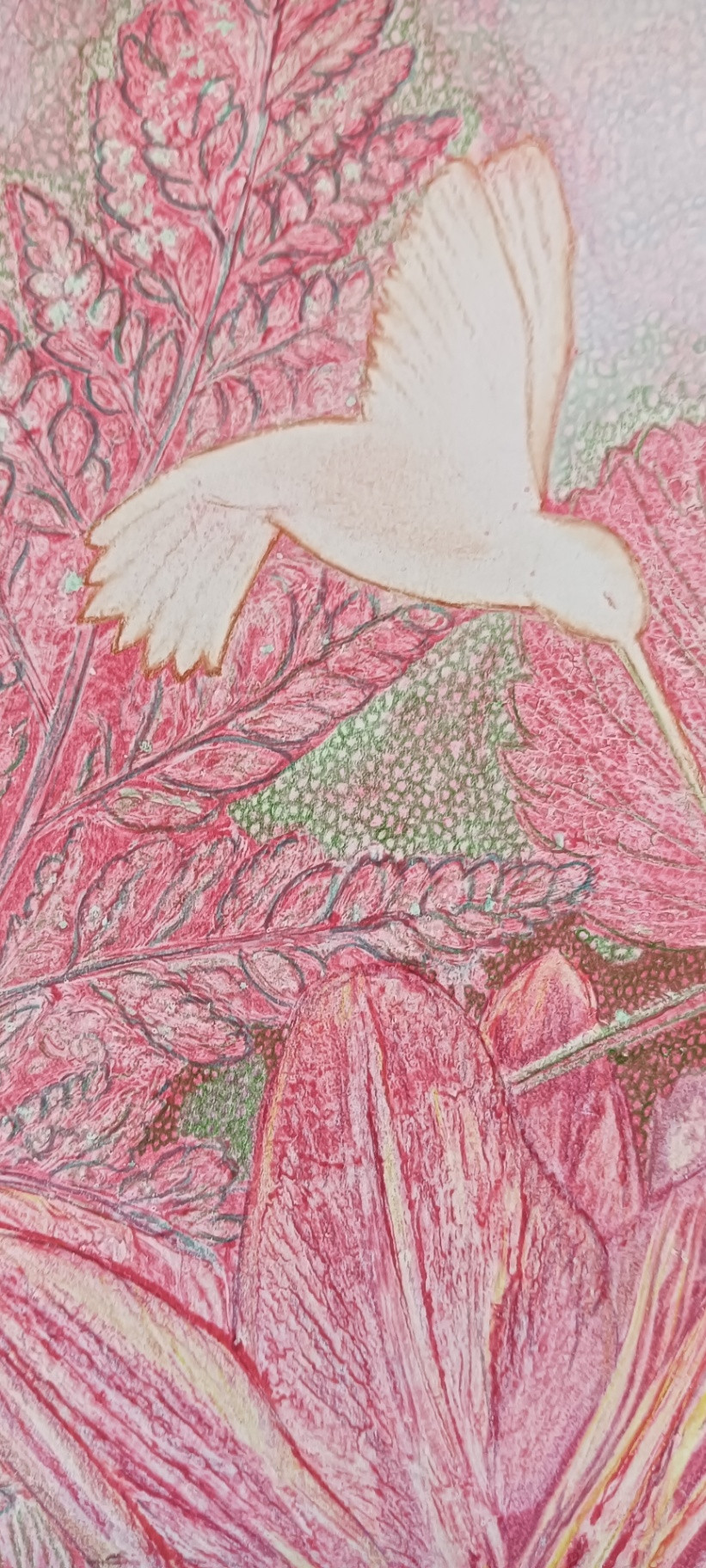 Hearth of the Wild Heart - Image 2