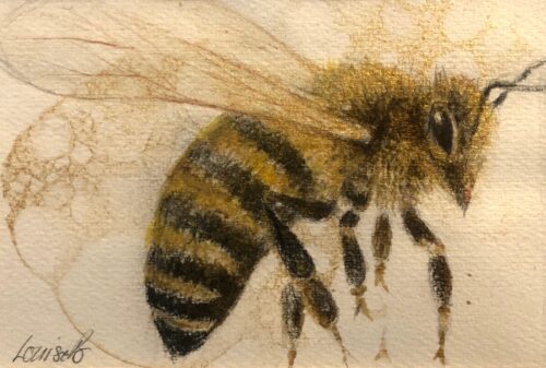 Just a Bee
