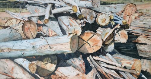 Lumbered Logs
