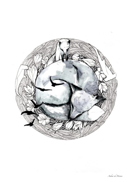 Sleeping Fox
