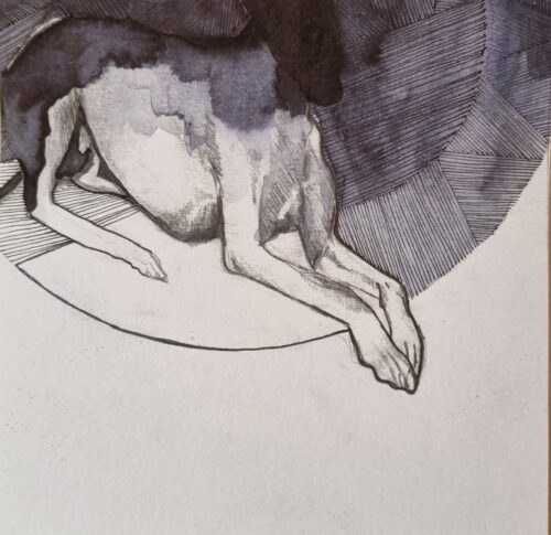 Studie van hond #3