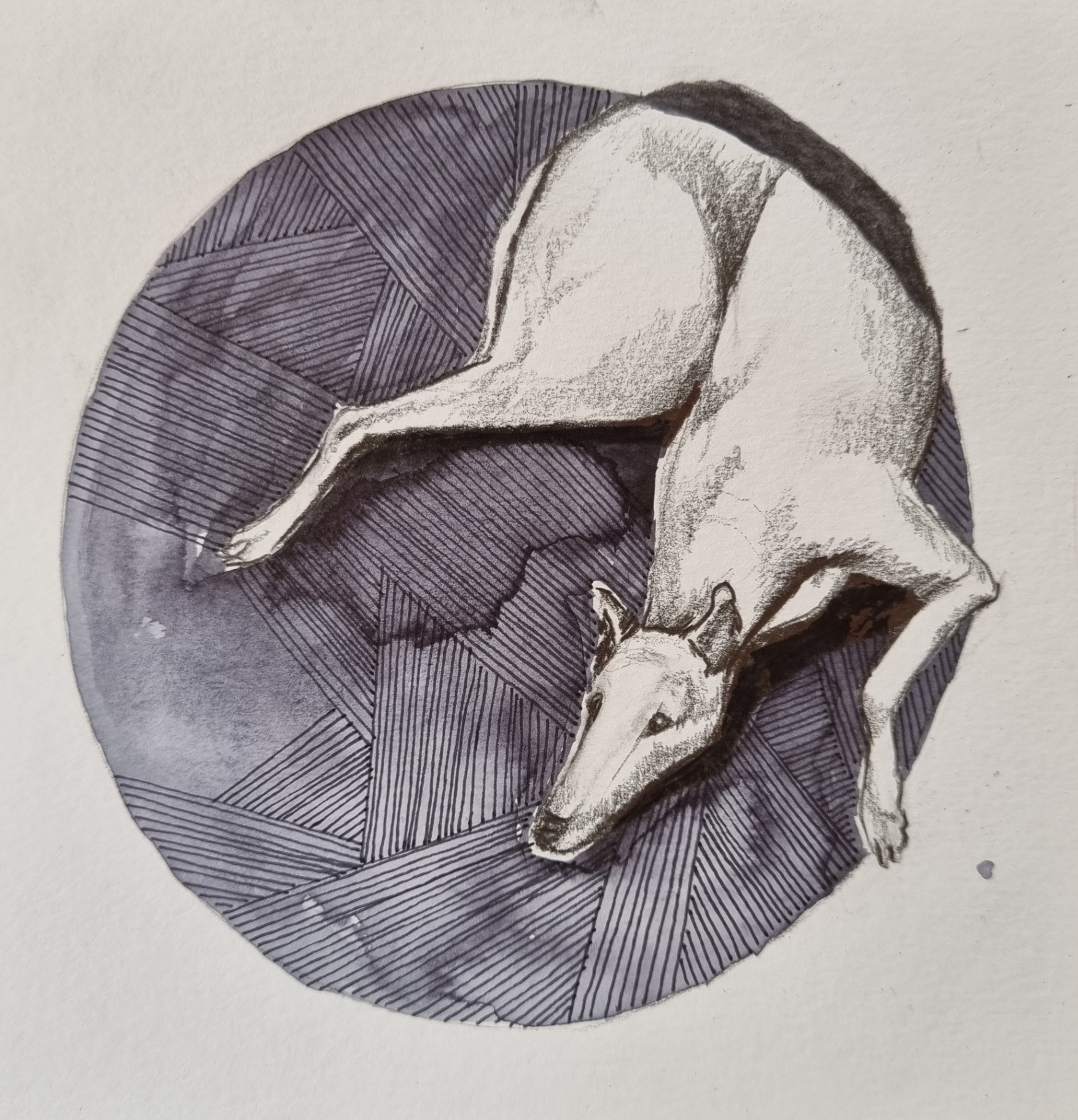 Studie van hond #4