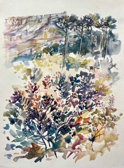 Urban Fynbos