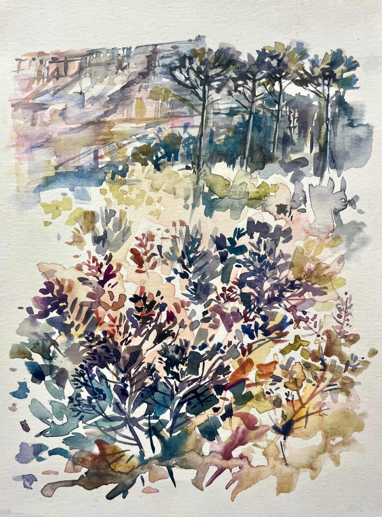 Urban Fynbos