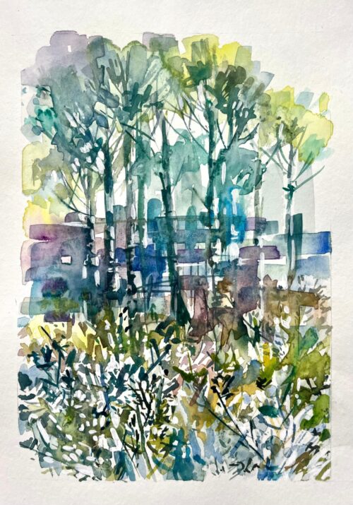 Woodland in Winter