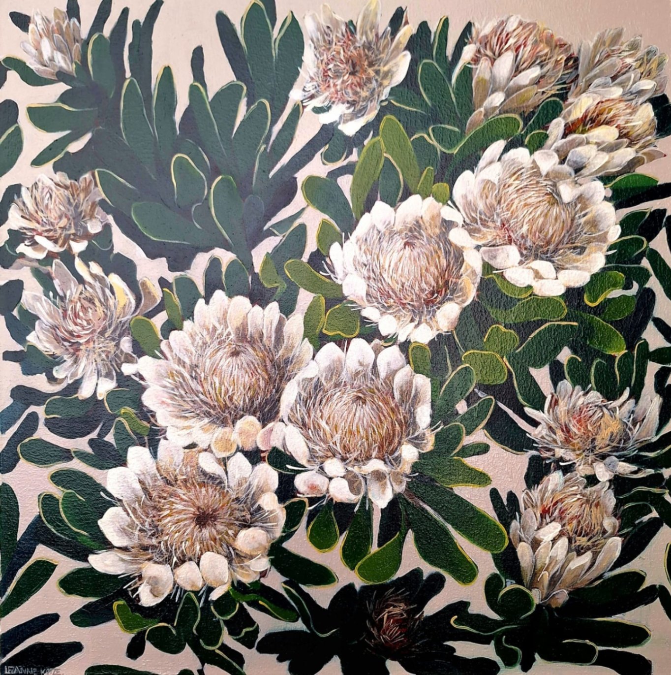 White Protea repens I