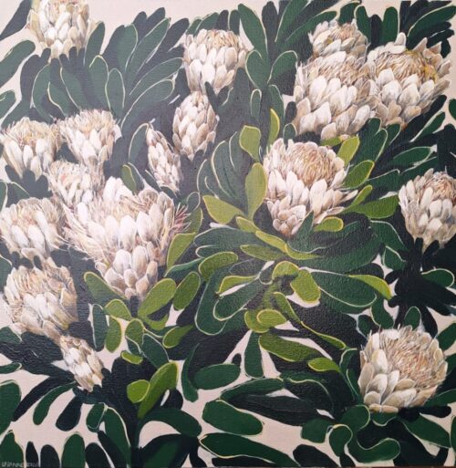 White Protea repens III