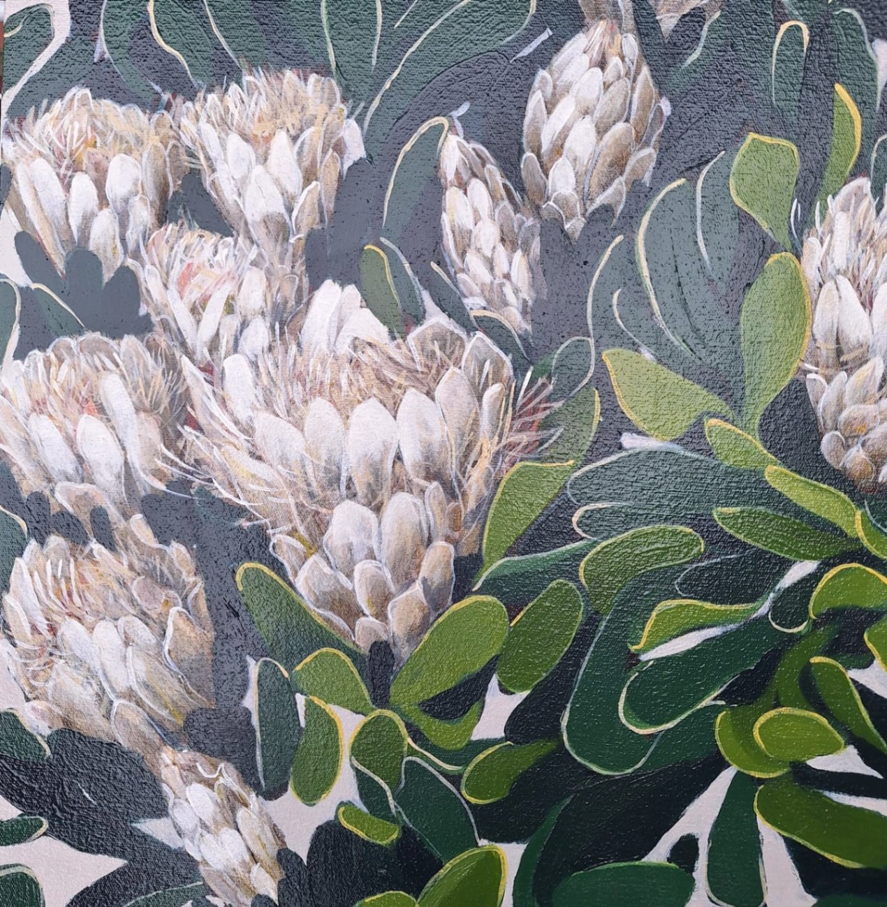 White Protea repens III - Image 2