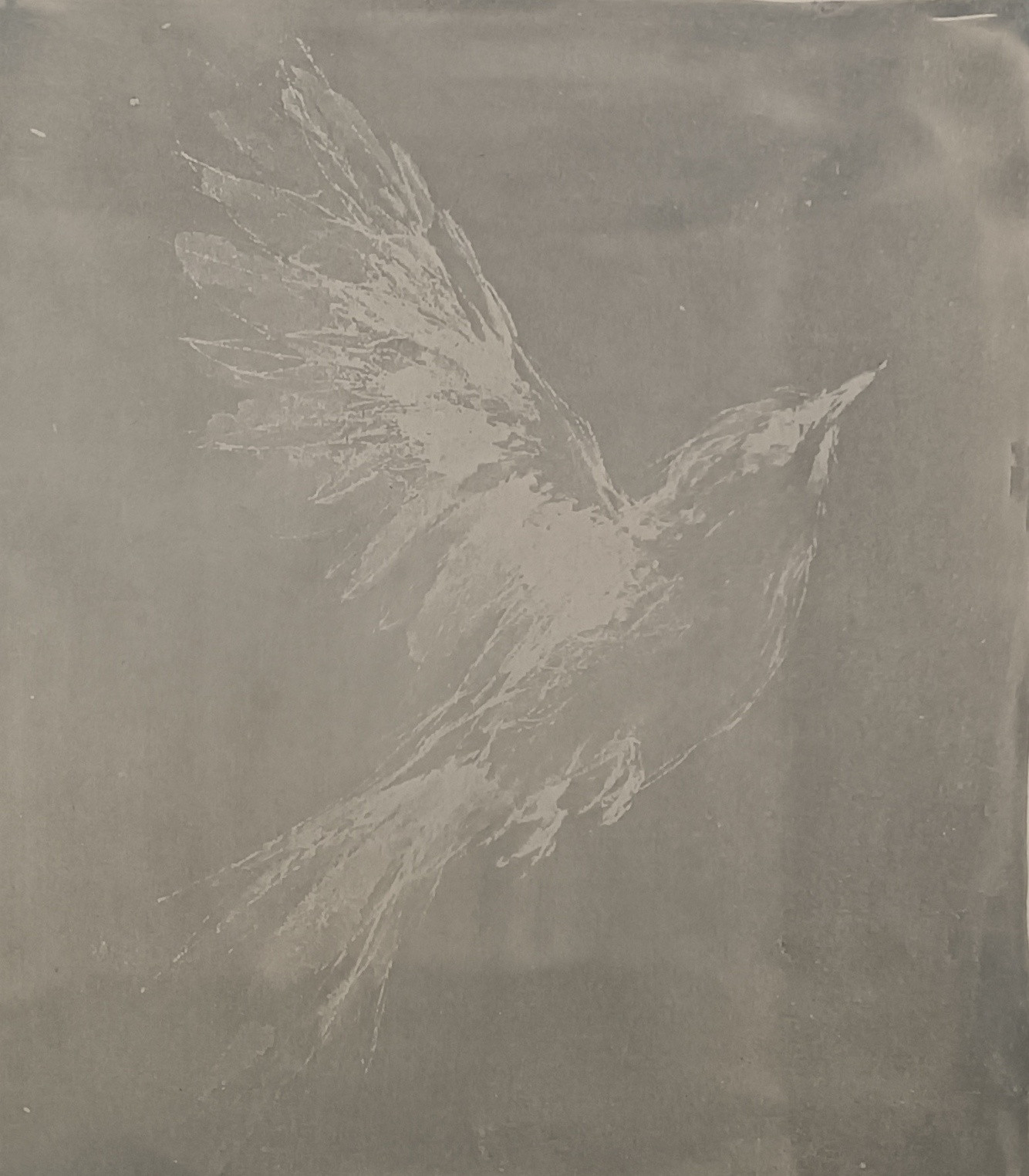 Toned Cyanotype print 8 of 8