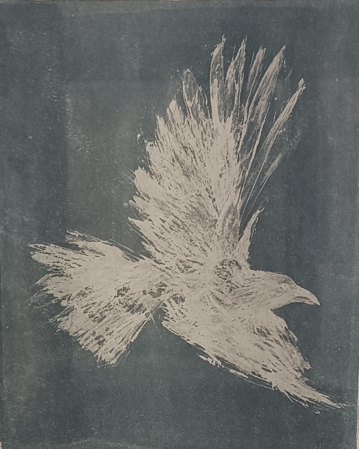 Toned Cyanotype print 1 of 12