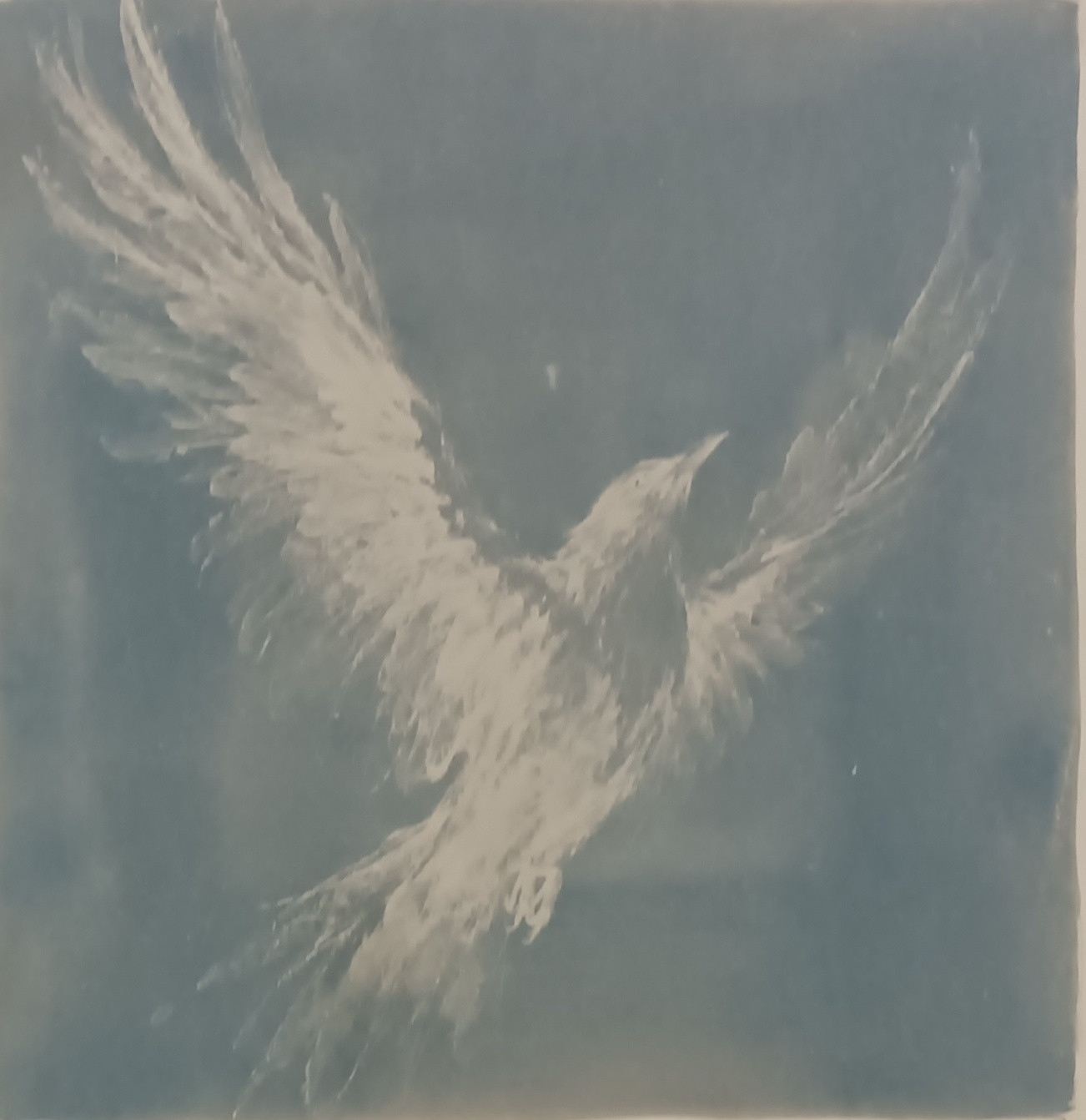 Toned Cyanotype print 2 of 12
