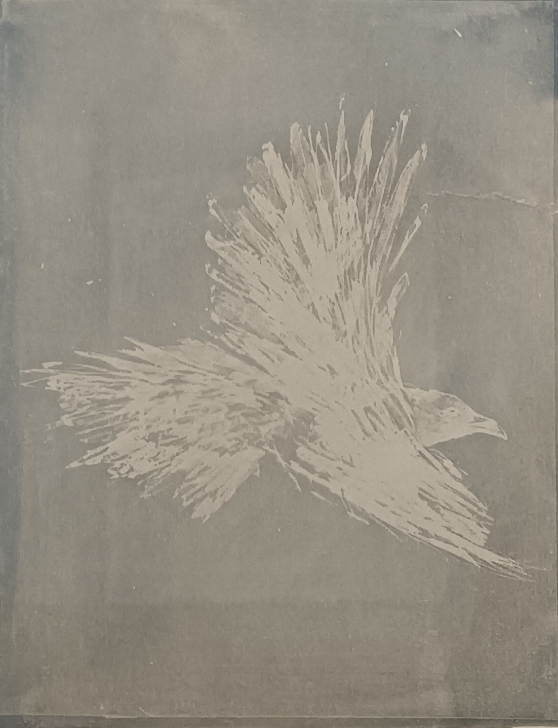 Toned Cyanotype print 5 of 12