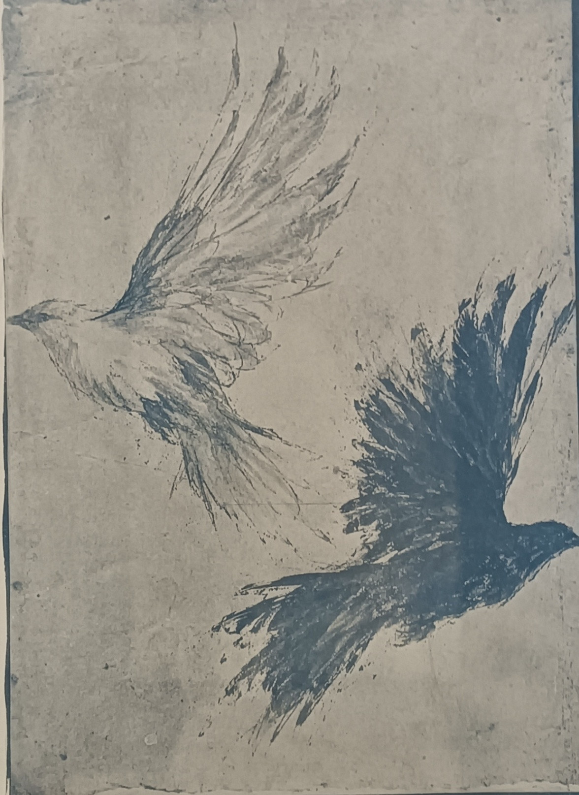 Toned Cyanotype print 9 of 12