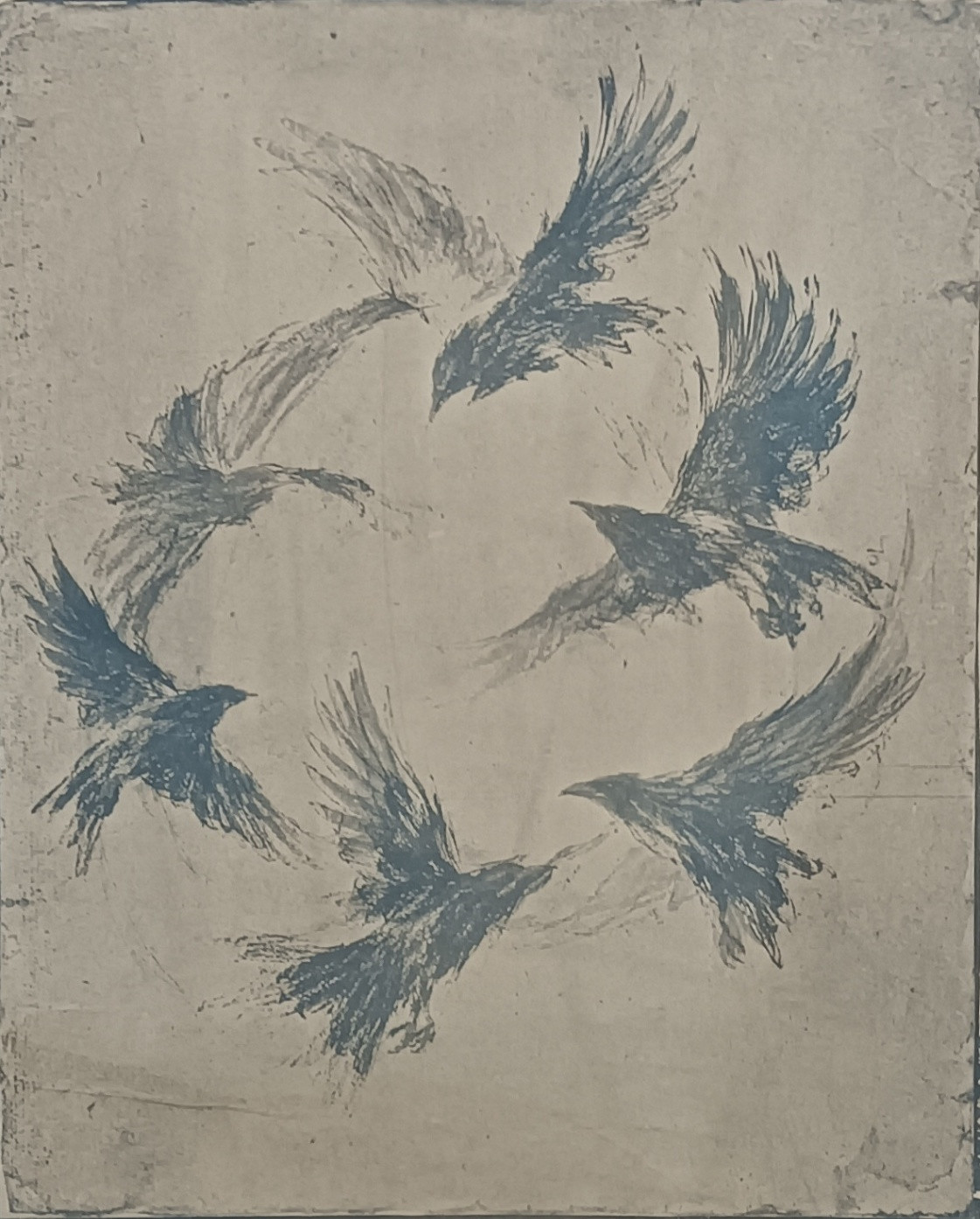 Toned Cyanotype print 10 of 12