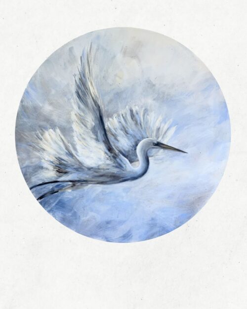 Soar II